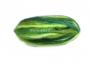 filo_di_lana_in_gomitolo_verde