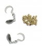 schiaccini_coprinodo_bijoux