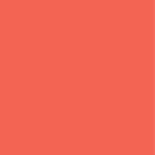 Acrilico Allegro 60 ml Rosa Corallo