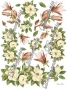 carta_classica_magnolia_p