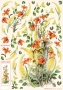 carta_decoupage_dfg189