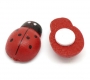 coccinelle_legno_adesive7