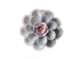 fiore_in_ceramica_rosa_e_petali_sfumati_blu_grande