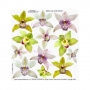 pellicola-stampata-star-orchid